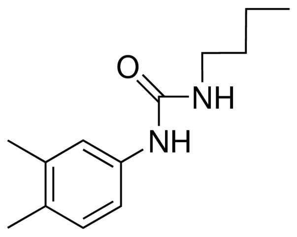 1-BUTYL-3-(3,4-XYLYL)UREA