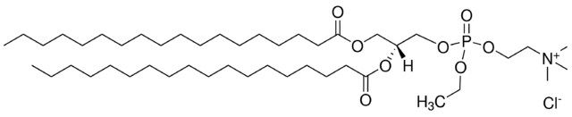 18:0 EPC (Cl Salt)