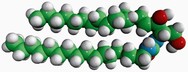 C16-Urea-Ceramide