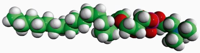 C18(Plasm) LPC