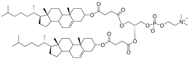 DChemsPC