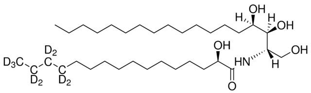 CER6-2R(d9)