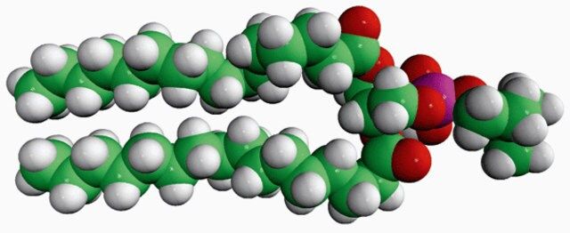 16:0 Dimethyl PE