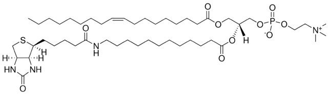 18:1-12:0 Biotin PC