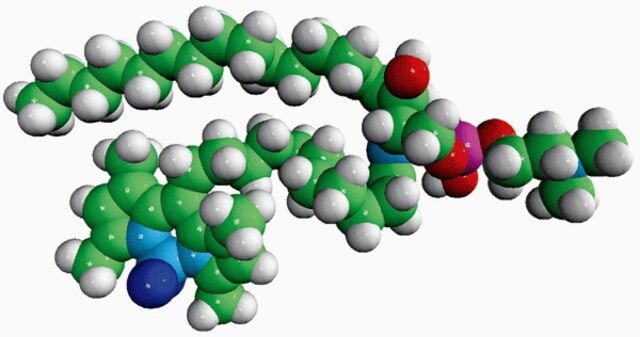 C11 TopFluor<sup>?</sup> Sphingomyelin