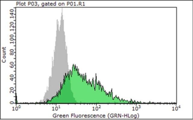 Anti-Integrin 1 Antibody, clone P5D2