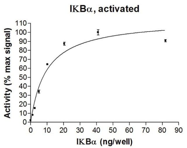 IkBa Protein, activated, 10 g