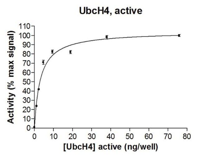 UbcH4 Protein, active, 50 g