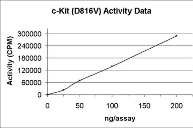 c-Kit (D816V) Protein, active, 10 g