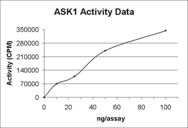 ASK1 Protein, active, 10 g