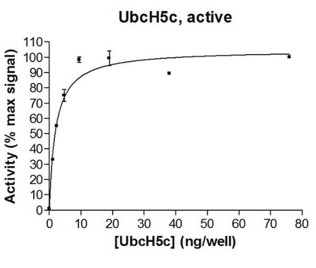 UbcH5c Protein, active, 10 g