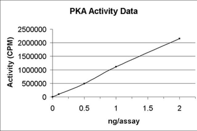 PKA Protein, Recombinant, 10 g