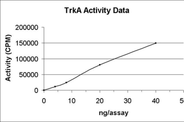 TrkA Protein, active, 10 g