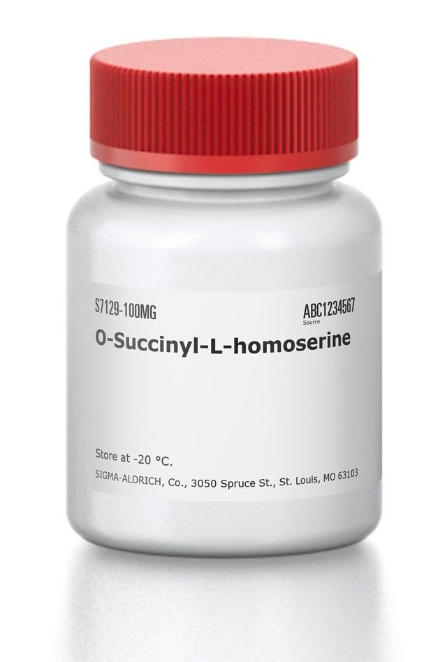 O-Succinyl-<sc>L</sc>-homoserine