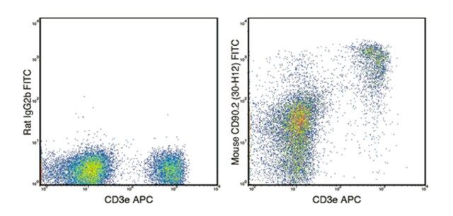 Anti-CD90.2 (mouse), FITC, clone 30-H12 Antibody