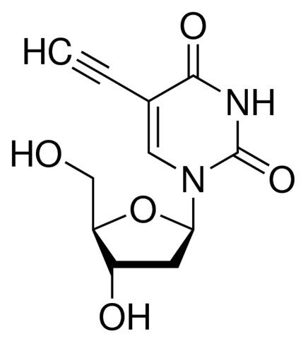 5-Ethynyl-2-deoxyuridine