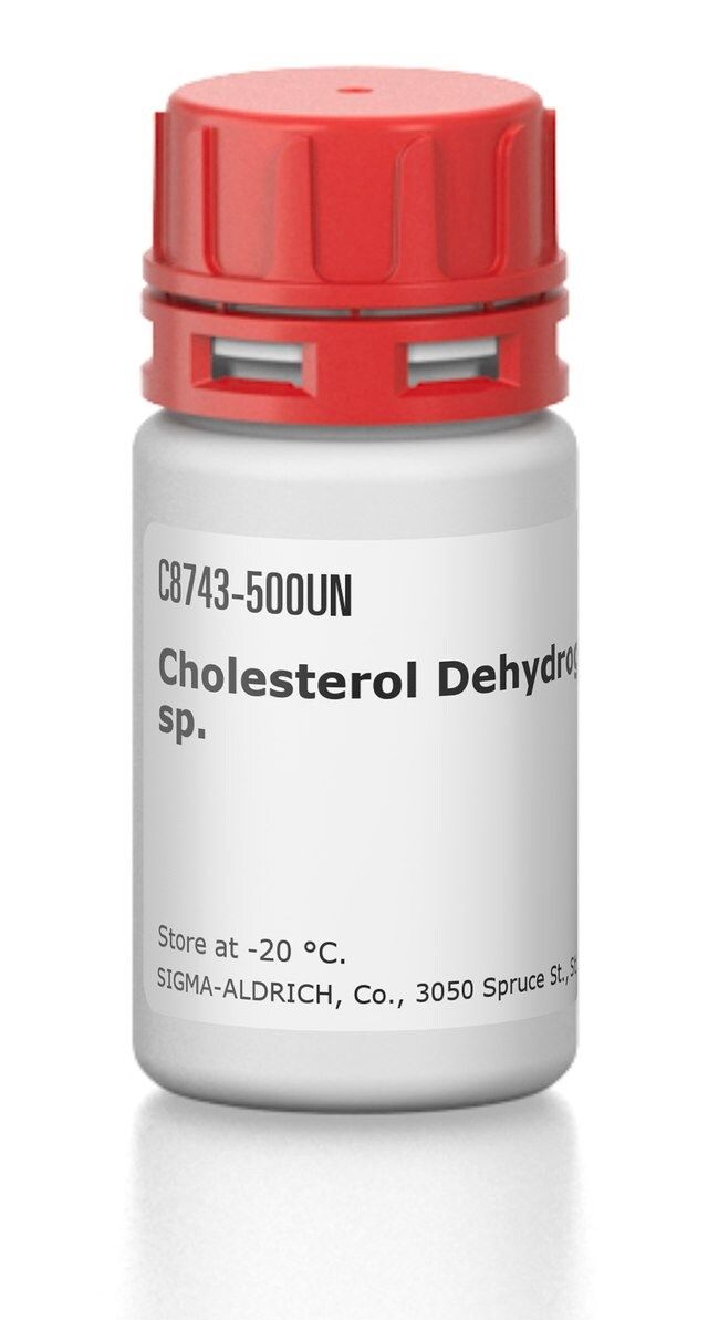 Cholesterol Dehydrogenase from <i>Nocardia</i> sp.