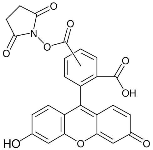 5(6)-Carboxyfluorescein <i>N</i>-hydroxysuccinimide ester