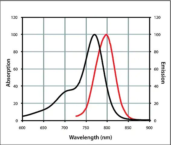 Anti-Rabbit IgG (H+L), highly cross-adsorbed, CF<sup>TM</sup> 770 antibody produced in goat