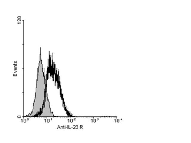 Anti-IL-23R Antibody, cytoplasmic