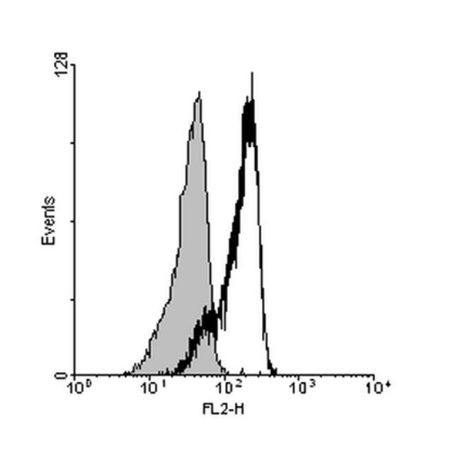 Anti-Interleukin 23 alpha (IL-23A) Antibody