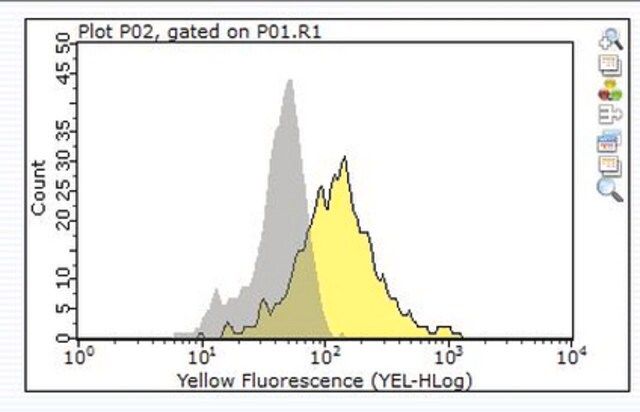 Anti-FcRI Antibody,  subunit