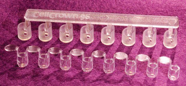 CellCrown<sup>TM</sup> inserts