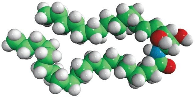 C20 Ceramide (d17:1/20:0)