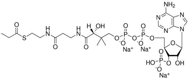 03:0 Coenzyme A