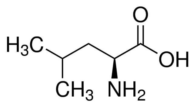 <sc>L</sc>-Leucine