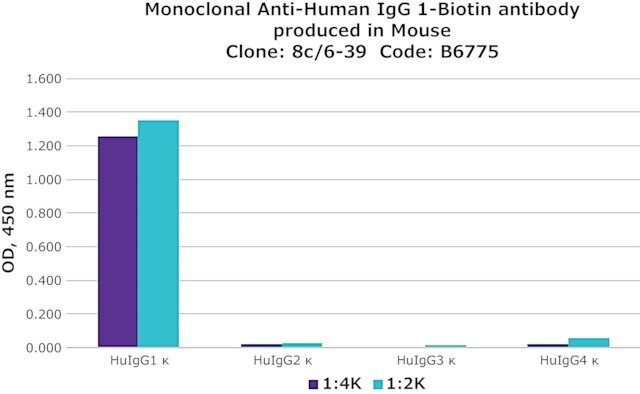 Anti-Human IgG1-Biotin antibody, Mouse monoclonal antibody produced in mouse