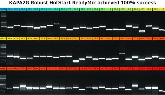 KAPA2G Robust HotStart PCR Kit