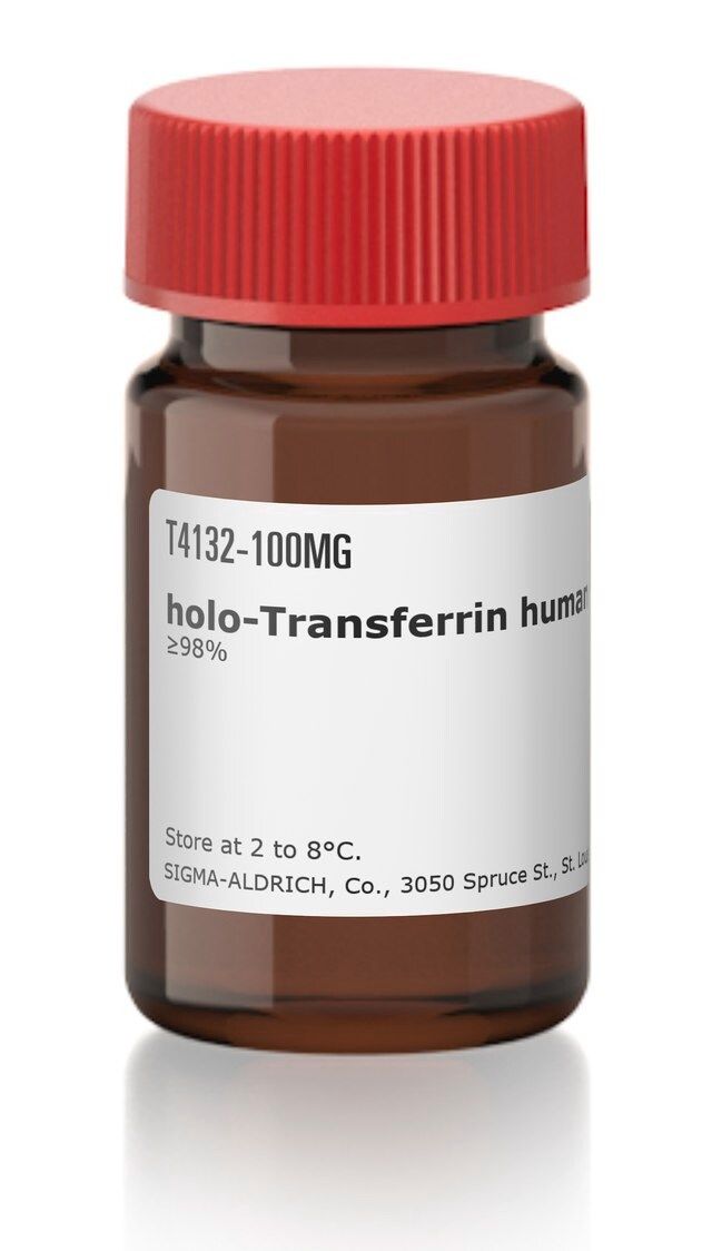 holo-Transferrin human