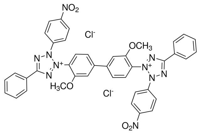 Nitrotetrazolium blue chloride