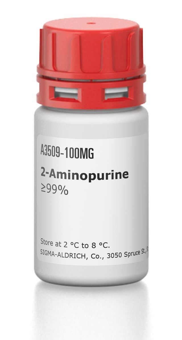 2-Aminopurine