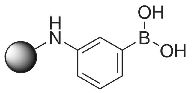 <i>m</i>-Aminophenylboronic acidCAgarose