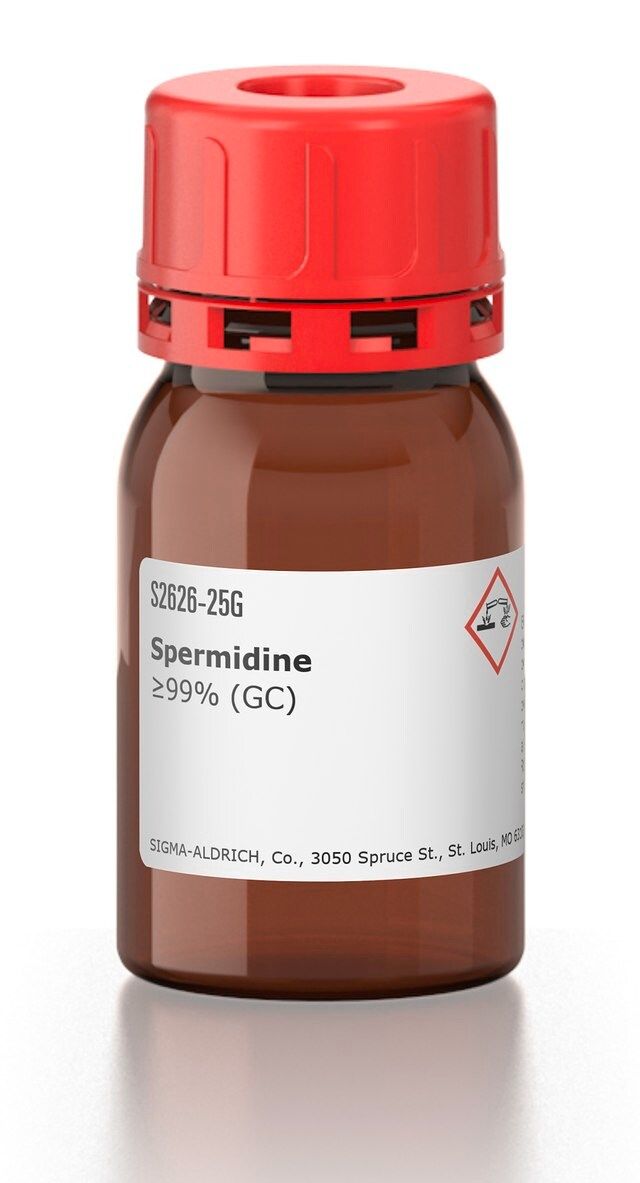 Spermidine