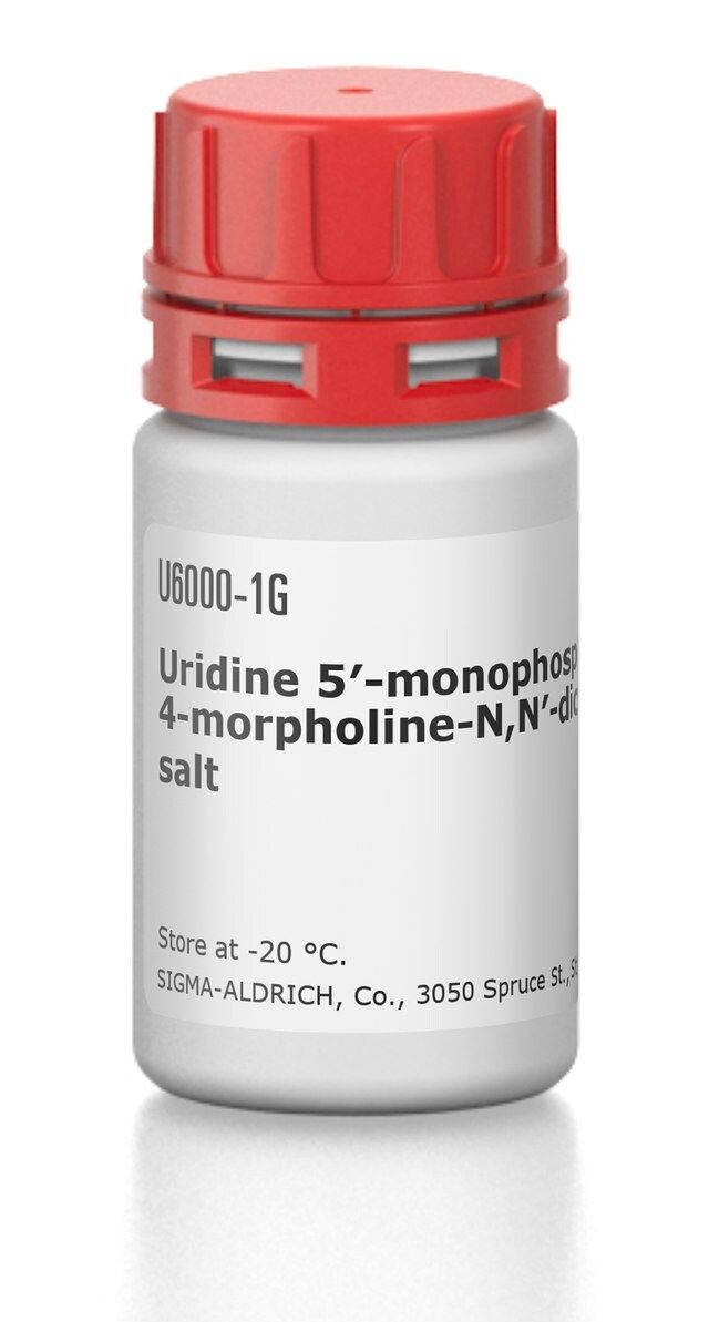 Uridine 5-monophosphomorpholidate 4-morpholine-N,N-dicyclohexylcarboxamidine salt