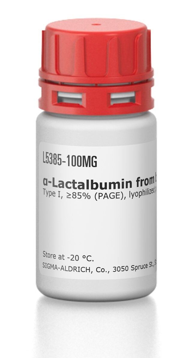 -Lactalbumin from bovine milk