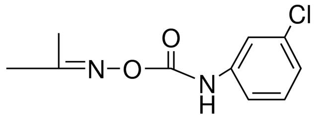 O-(N-(3-CHLOROPHENYL)CARBAMOYL)ACETONE OXIME