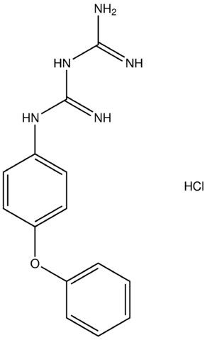 N-(4-phenoxyphenyl)imidodicarbonimidic diamide hydrochloride