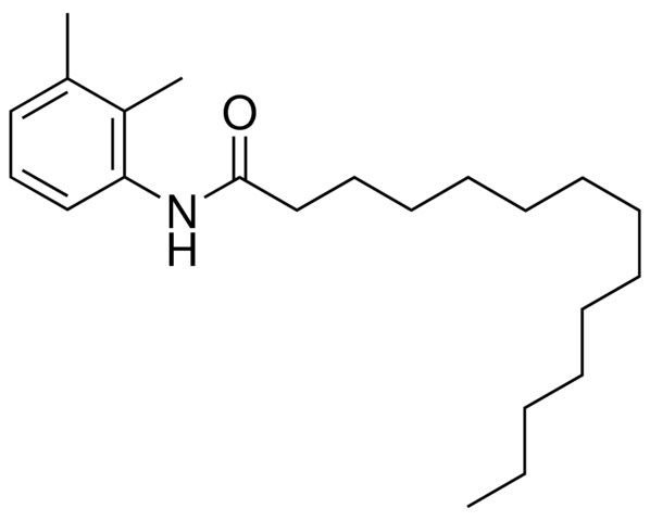 N-(2,3-DIMETHYLPHENYL)TETRADECANAMIDE