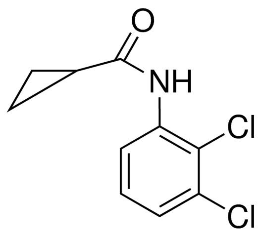 N-(2,3-DICHLOROPHENYL)CYCLOPROPANECARBOXAMIDE