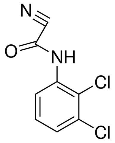 N-(2,3-DICHLOROPHENYL)CYANOFORMAMIDE