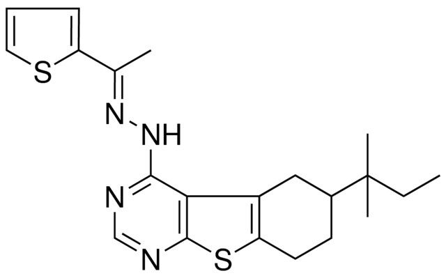 (1E)-1-(2-THIENYL)ETHANONE (6-TERT-PENTYL-5,6,7,8-TETRAHYDRO[1]BENZOTHIENO[2,3-D]PYRIMIDIN-4-YL)HYDRAZONE