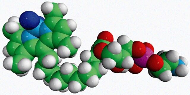 TopFluor<sup>?</sup> Lyso PE