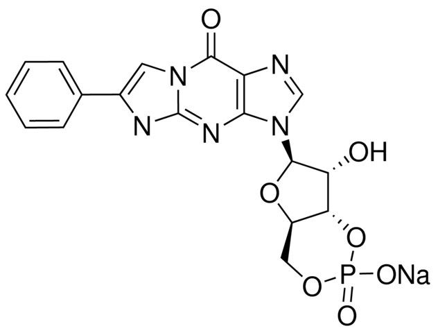 PET-cGMP