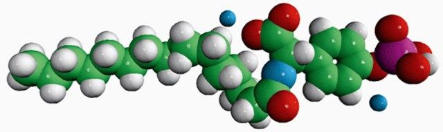 N-P Tyrosine PA