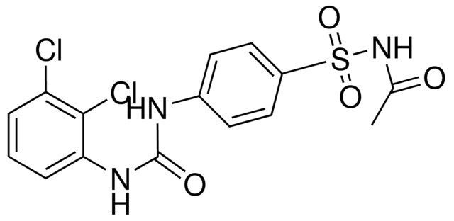 N-ACETYL-4-(2,3-DICHLOROPHENYLUREIDO)BENZENESULFONAMIDE