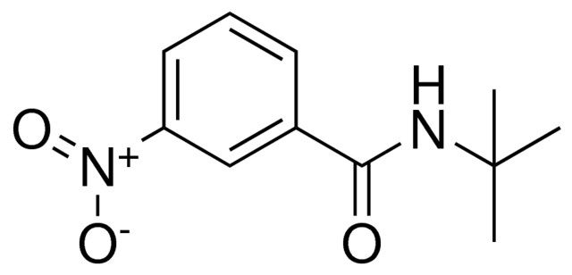 N-(TERT-BUTYL)-3-NITROBENZAMIDE